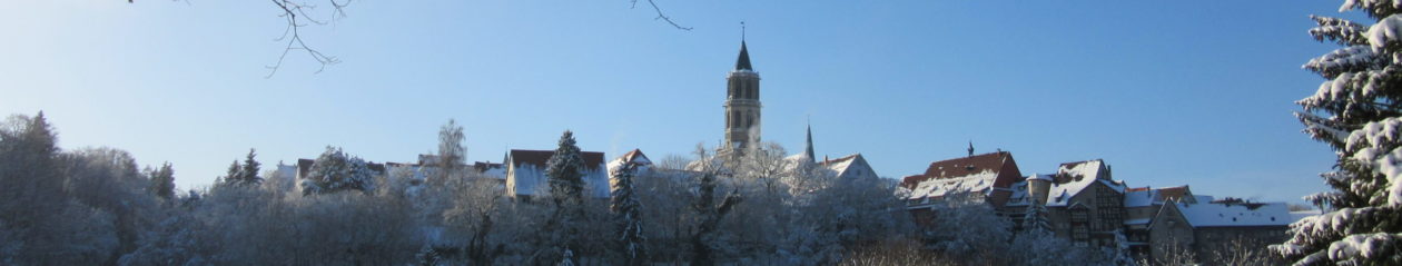 team-rottweil.de