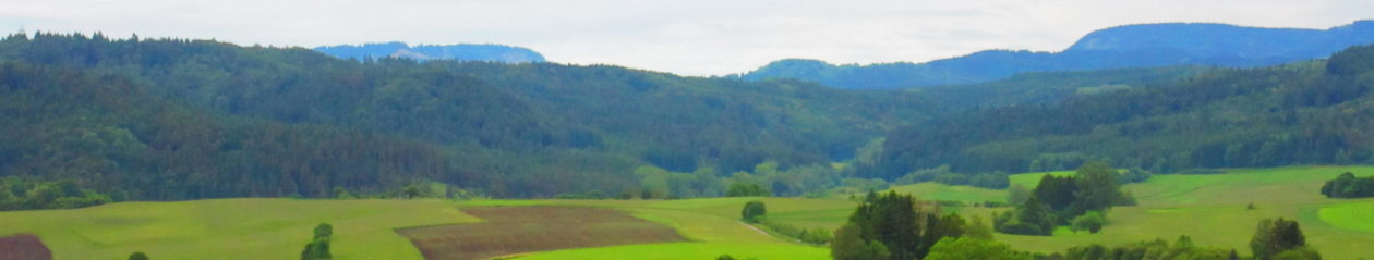 team-rottweil.de